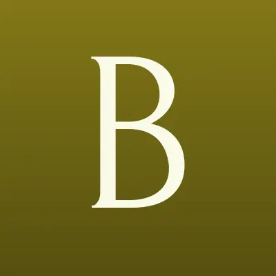 БрокИнвестСервис, торгово-финансовый дом, лого-визитка